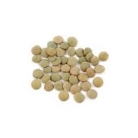 Nutrient-rich Green Lentils for supermarkets and distributors From South Africa
