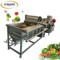 Fruits and Vegetables Vortex Washing Machine Eddy Current Washing Equipment From South Africa