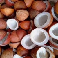 Dry Coconut (Copra) From South Africa