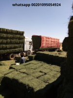 HIGH Quality Alfafa Hay for Animal Feeding Stuff Alfalfa / Alfalfa Hay / Alfalfa Hay From Egypt