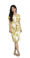 Dress Catalogue 01489