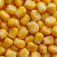 Frozen Sweet Corn IQF &acirc; AA Grade