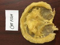 CAT Fish Maw