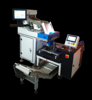 Grain and snack counting and packaging machine