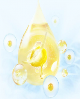 Corn germ meal 