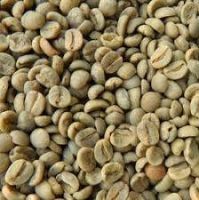 Arabica Green Coffee Beans, Oil Seeds & Sesam Seeds