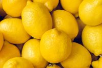 Fresh Yellow Lemons - USA Origin - Best Prices From South Africa
