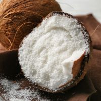 DESICCATED COCONUT FOR CONFECTIONERY SNACKS COOKIES CEREALS / BULK EXPORT GRADE / CLEAN PROCESSING From South Africa