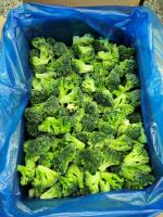 Farm Fresh IQF Broccoli Vegetables Perfect For Supermarket Retail Fresh Broccoli From South Africa