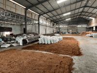Cocopeat High EC - Premium Growing Medium for Hydroponics