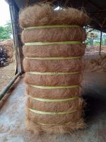 Cocofiber - Premium Coconut Fiber for Industry &amp;amp; Agriculture