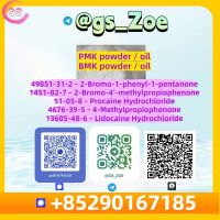 Wholesale B M K (4676-39-5) &amp; New P M K (28578-16-7) Supply
