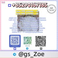 Premium Chemicals: New B M K &amp; P M K &acirc; C A S 28578-16-7 / 4676-39-5