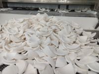 Frozen coconut meat cubes natural coconut Vietnam tropical fruit perfect for dessert toppings bakery suppliers smoothie mixes