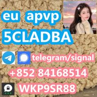5cladba 5CL-ADB-A precursor raw 5f-adb 5F-MDMB-PINACA