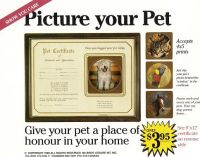 Picture Your Pet ( Pet Certificate