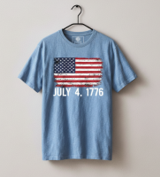 Custom Logo Print High Quality 300GSM Heavy Weight Regular Fit 100% Cotton Blank Streetwear T Shirts for Men