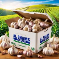 Fresh Garlic