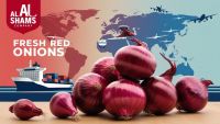 red onion 
