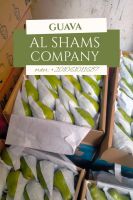 fresh guava  From Egypt