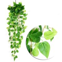 Artificial Green plant  Vine