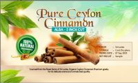 Cinnamon &amp; Spices