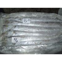 Nutritious Frozen Ribbon Fish Available 