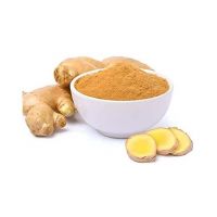 Ginger powder available in bulk for global spice and seasoning suppliers 