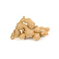 Fresh ginger available for sale in bulk quantities for global food and produce importers 