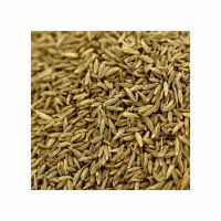 High quality cumin seed prepared for export grade trade and large volume orders