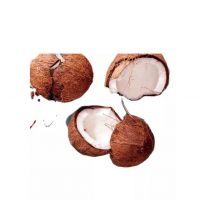  Fresh coconut offered for bulk sourcing with attractive discount price advantage  From South Africa