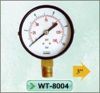 Standard Dry Pressure Gauge