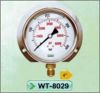 LIQUID FILLED PRESSURE GAUGE From China