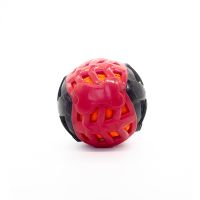 Popular Chew Toy in Asia - Rubber with Squeaker Function