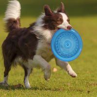 Wholesale Rubber Chew Toys - Bulk Order Discounts Available