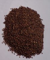 Reddish Brown Sesame Seeds