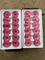 Grade A preserved roses 2-3cm/3-4cm/4-5cm