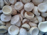 IQF Artichoke Bottoms (3-5/5-7/7-9)