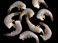 FROZEN RAW HEADLESS EASY PEEL BLACK TIGER SHRIMP