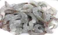 FROZEN RAW PEELED DEVEINED TAIL ON BLACK TIGER SHRIMP