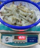FROZEN RAW VANNAMEI SHRIMP HEADLESS