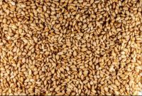sesame seeds
