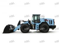 Well-known Chinese-made Electric Wheel