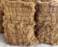 Coconut Coir Fiber (short/long