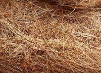 Coconut Coir Fiber (short/long)  From Mozambique