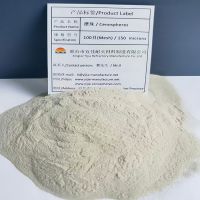 High-quality Cenospheres:100 mesh/150microns From China