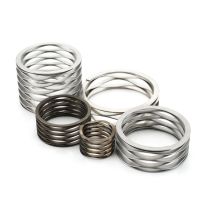 Stainless Steel Multi Turn Wave Springs
