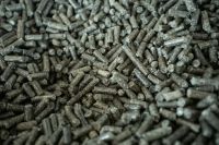 Sugar Beet Pulp Pellets (SBPP), From Belarus