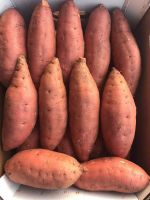 Sweet Potatoes
