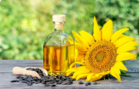 Crude/Refined Sunflower oil